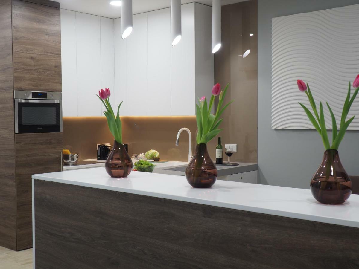 Apartament Luxury Miedzyborska 8B ワルシャワ エクステリア 写真